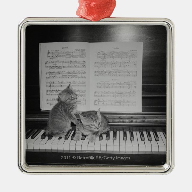 Ornamento De Metal Dois gatinhos que sentam-se no teclado de piano (Frente)