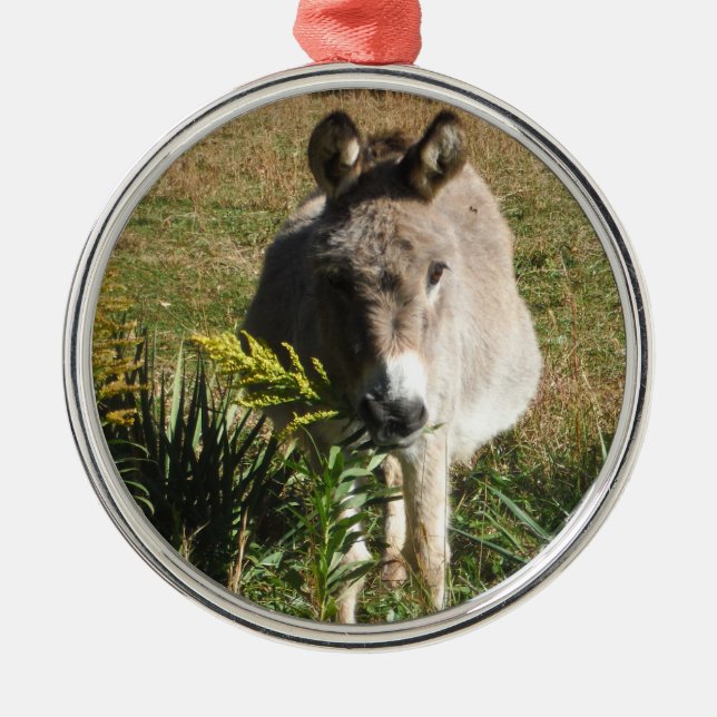 Ornamento De Metal Donkey Picting Yellow Autumn Wildflower (Frente)