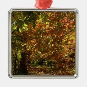 Ornamento De Metal Dossel de Folhas de Outono II Fotografia de Outono