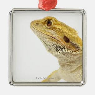 Ornamento De Metal Dragão farpado (Pogona Vitticeps)