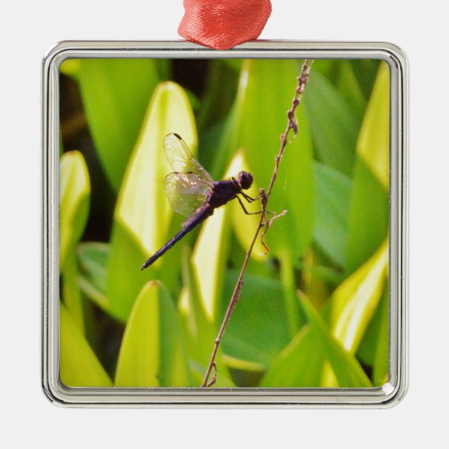 Ornamento De Metal Dragonfly Blue e preto na grama. (Frente)