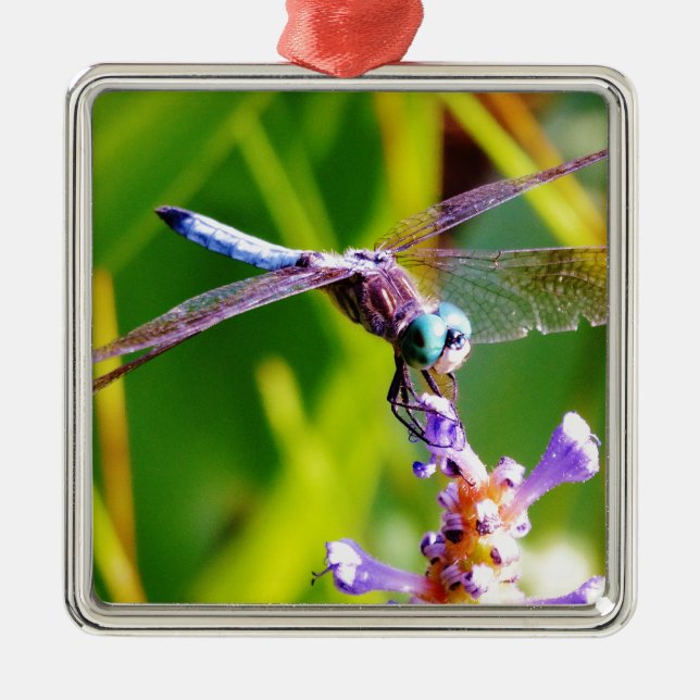 Ornamento De Metal Dragonfly Teal & Purple (Frente)