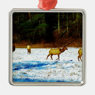 ORNAMENTO DE METAL DSC00131.JPG