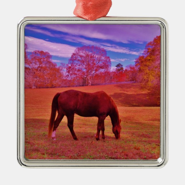 ORNAMENTO DE METAL DSCF0536.JPG (Frente)