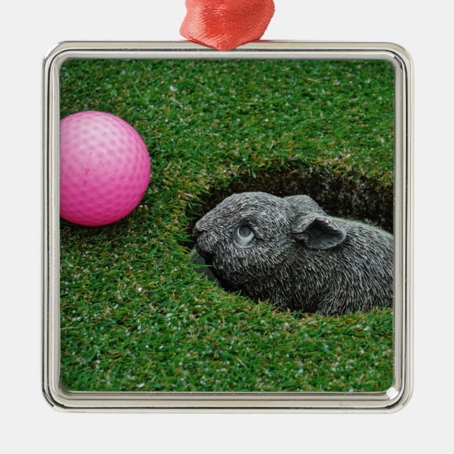 ORNAMENTO DE METAL DSCF0652.JPG (Frente)