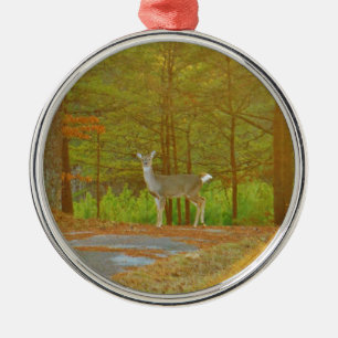 ORNAMENTO DE METAL DSCF4041.JPG