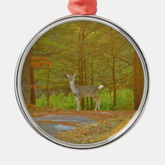 ORNAMENTO DE METAL DSCF4041.JPG (Frente)