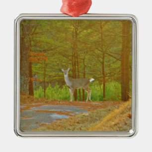 ORNAMENTO DE METAL DSCF4041.JPG