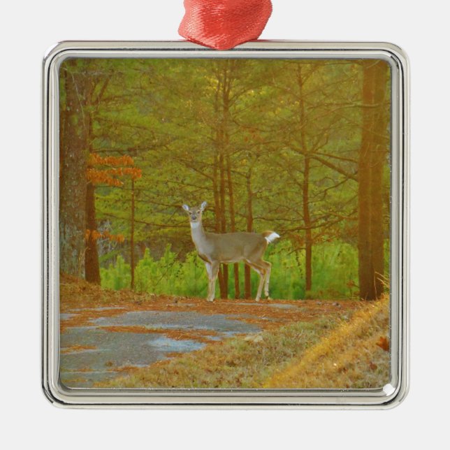 ORNAMENTO DE METAL DSCF4041.JPG (Frente)