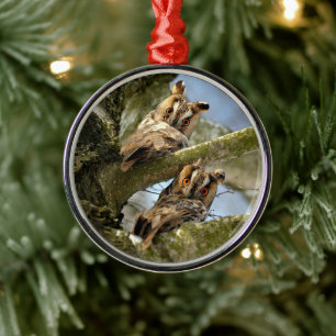 Ornamento De Metal Duas Corujas nos Bosques, aves, vida selvagem Orn