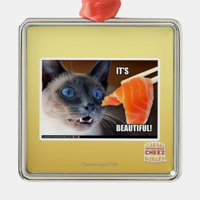 Ornamento De Metal É bonito! (Frente)