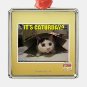 Ornamento De Metal É Caturday?