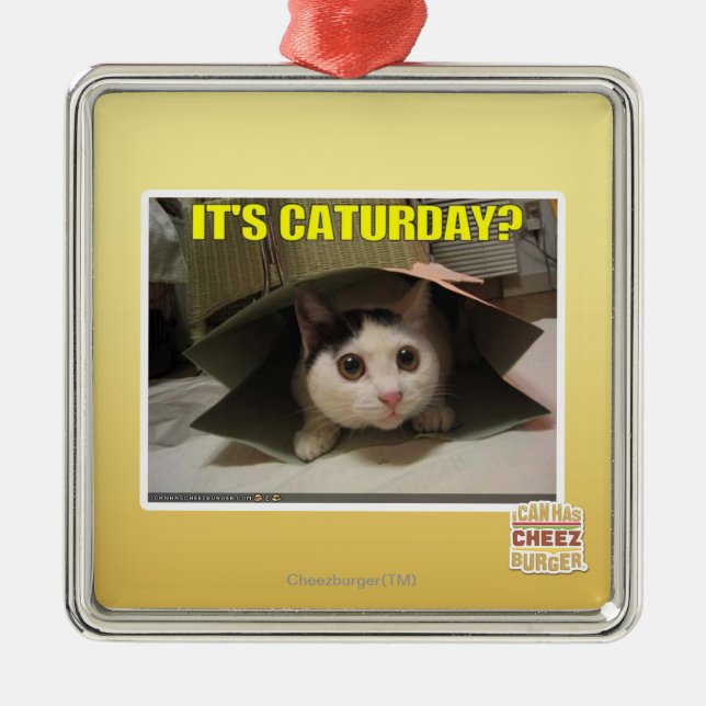 Ornamento De Metal É Caturday? (Frente)