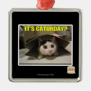 Ornamento De Metal É Caturday?