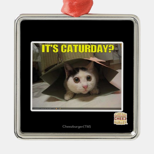 Ornamento De Metal É Caturday? (Frente)