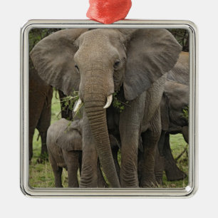 Ornamento De Metal Elefante Africano Manada