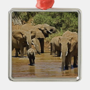 Ornamento De Metal Elefantes Africanos, Loxodonta Africana, Samburu