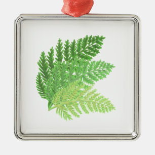 Ornamento De Metal Elegantes folhas florestais de samambaia em aquare