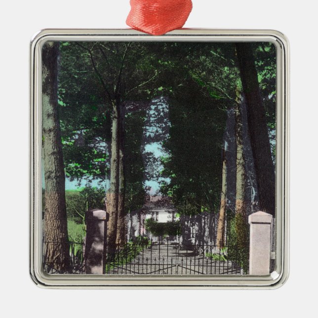 Ornamento De Metal Entrada à opinião de Theodore Wagner das casas (Frente)