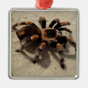 Ornamento De Metal Envenenamento tarantula brachypelma vermelho-joelh