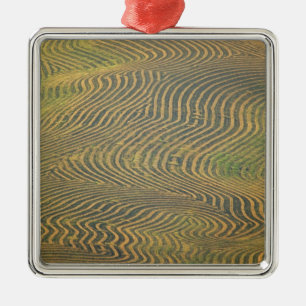 Ornamento De Metal Ervilhas de lentil que se preparavam e aguardavam 