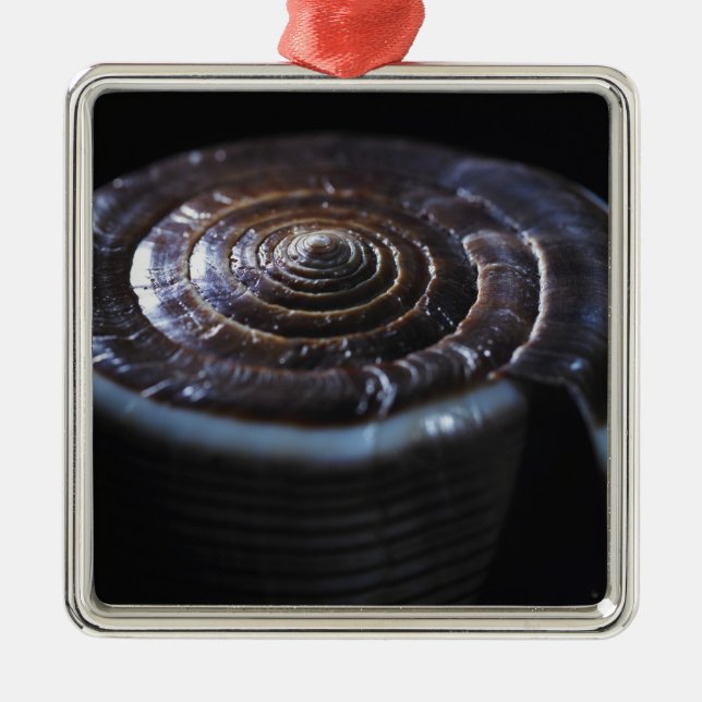 Ornamento De Metal Escudo do cone (Frente)