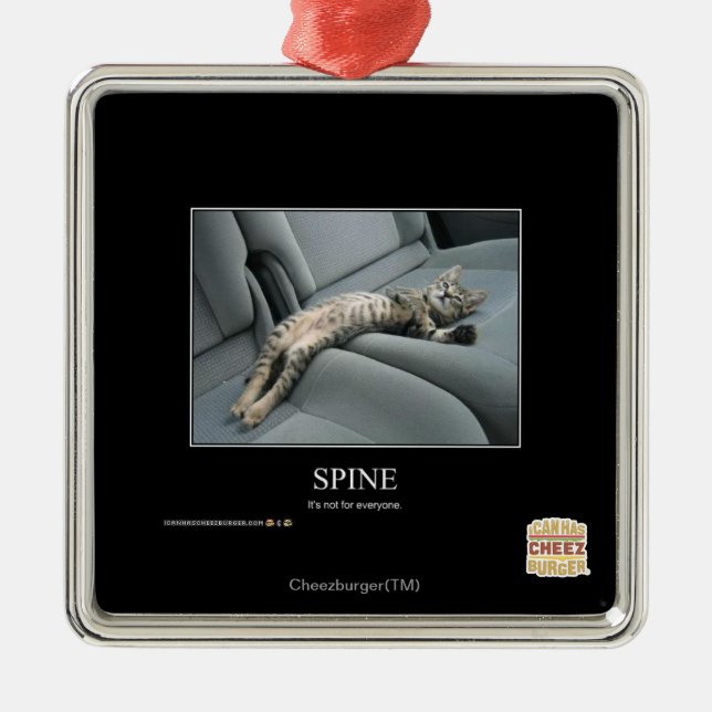 Ornamento De Metal Espinha (Frente)