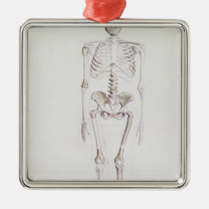 Ornamento De Metal Esqueleto do africanus do Australopithecus