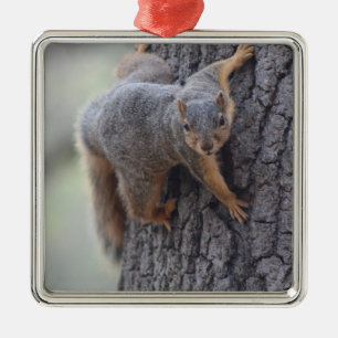 Ornamento De Metal Esquilo aderindo-se