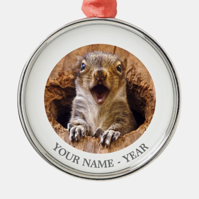 Ornamento De Metal Esquilo chocado (Frente)