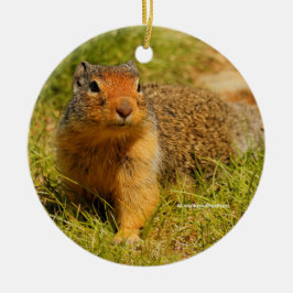 Ornamento De Metal Esquilo Columbiano Curioso e Curioso