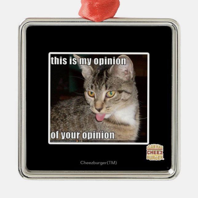 Ornamento De Metal esta é minha opinião (Frente)