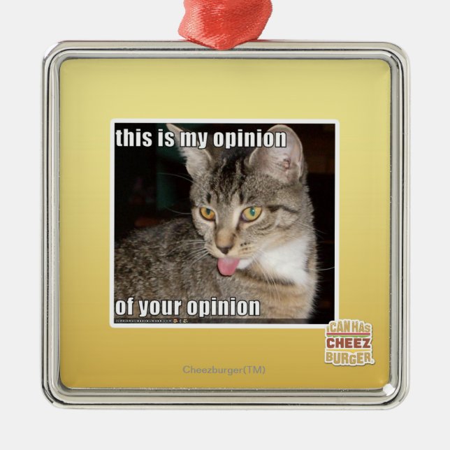 Ornamento De Metal esta é minha opinião (Frente)