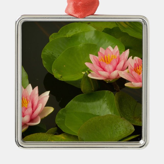 Ornamento De Metal Estados Unidos, DC, Washington, Kenilworth 4 (Frente)