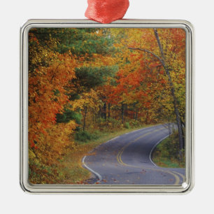 Ornamento De Metal Estrada das árvores de outono no Parque Estadual 