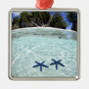 Ornamento De Metal Estrelas-do-mar, Ilhas Rochosas, Palau 2