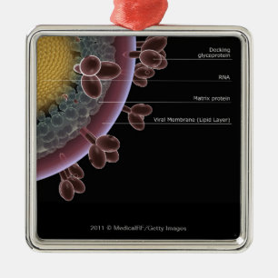 Ornamento De Metal Estrutura de uma pilha do HIV