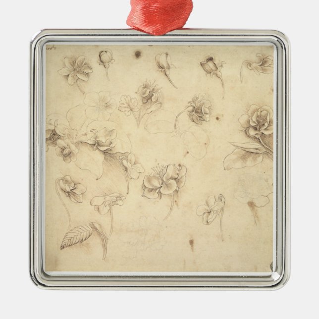 Ornamento De Metal Estudo das flores Grama-como de plantas (Briza M (Frente)