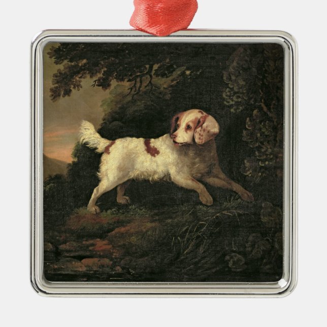 Ornamento De Metal Estudo do Spaniel de Clumber (Frente)