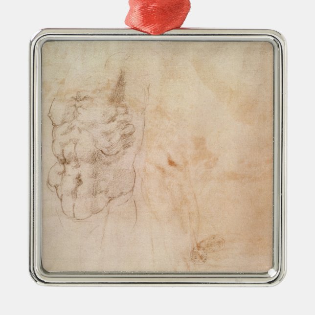 Ornamento De Metal Estudo do torso (Frente)