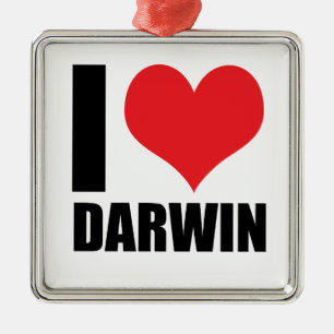Ornamento De Metal Eu amo Darwin