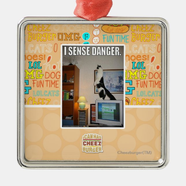 Ornamento De Metal Eu detecto o perigo (Frente)