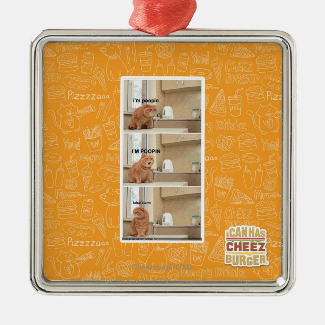 Ornamento De Metal Eu estou fazendo cocô! (Frente)