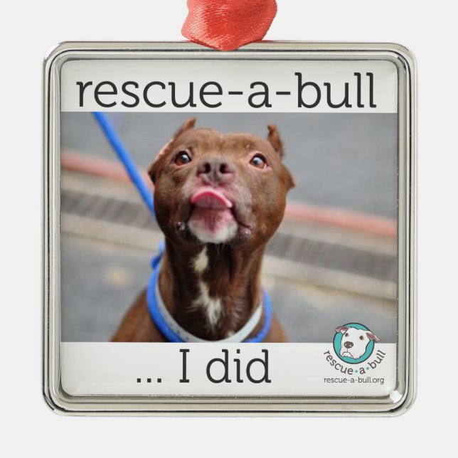 Ornamento De Metal Eu ornament (customizável) (Frente)