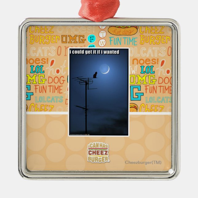 Ornamento De Metal Eu poderia obtê-lo se eu quis (Frente)