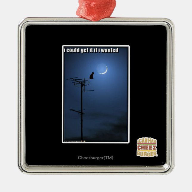 Ornamento De Metal Eu poderia obtê-lo se eu quis (Frente)