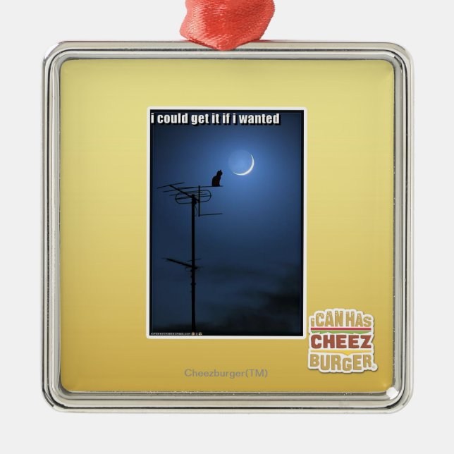 Ornamento De Metal Eu poderia obtê-lo se eu quis (Frente)