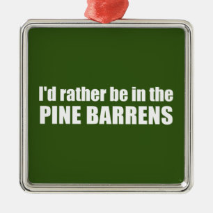 Ornamento De Metal Eu Preferencialmente No Pine Barrens