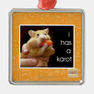 Ornamento De Metal Eu tenho um karot
