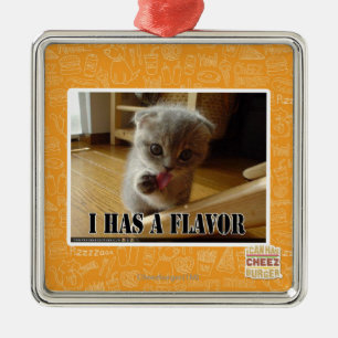 Ornamento De Metal Eu tenho um sabor